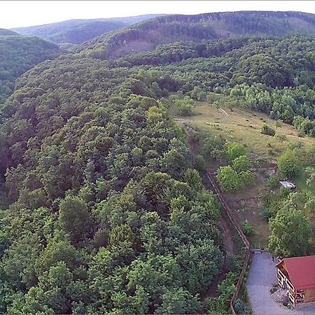 Творча Садиба Svaljava Exteriér fotografie